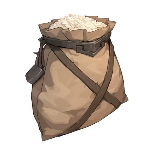 Bag of Rice